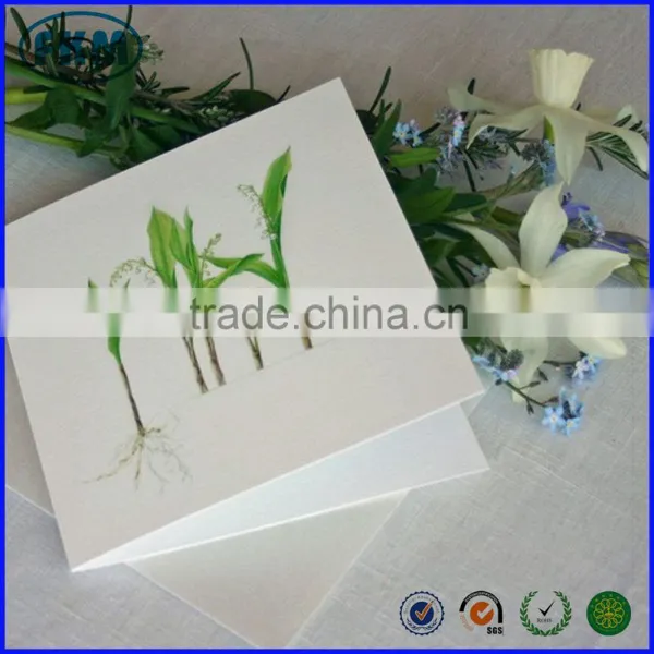 Pretty Greeting Blank Card photo-2