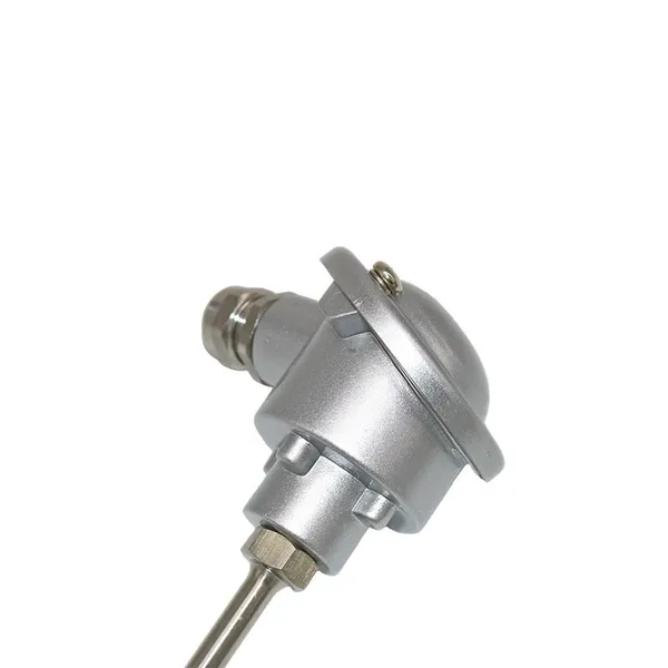 CE Certified PT100 Thermal Resistance Detector RTD With 304 Stainless Steel Probe for Industrial Use Explosion Proof photo-3