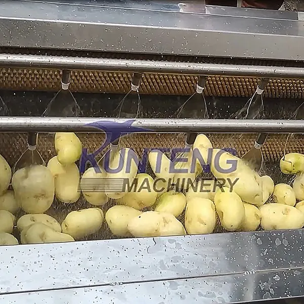 Commercial Fresh Ginger Washing and Peeling Machine Vegetable Washers Shell Fish Carrot Dates Potato Cleaning Machine EPC photo-4