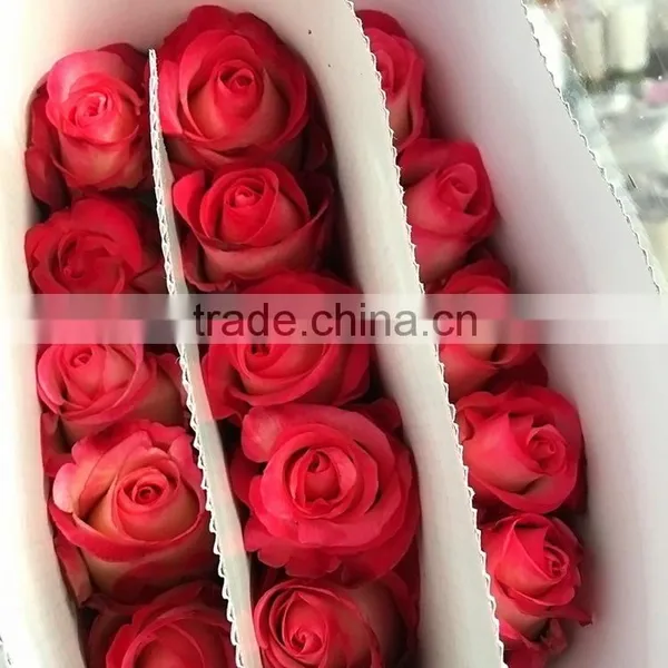 New Fresh Preserved Fresh Red Rose Flowers