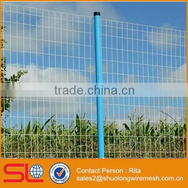 Euro Welded Wire Mesh Roll Garden Fence photo-2