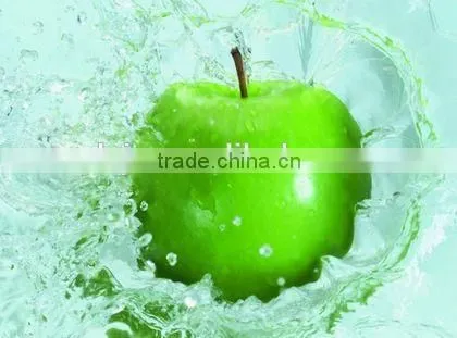 Multifunctional Fruit And Vegetable Cleaning Machine Universal Fruit Washing Machine photo-5