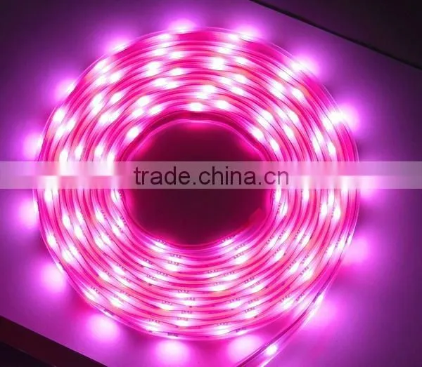 LED Flexible Strip