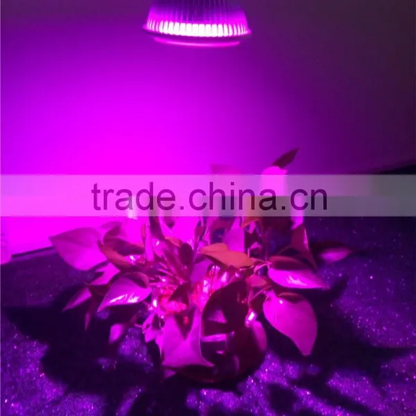 Hot Sale in 2016, 12W Led Grow Light for Plants Grow Light Led photo-2