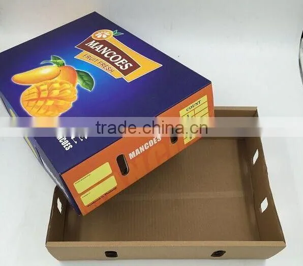 China Supplier Cheap Fruit Packaging Box photo-2