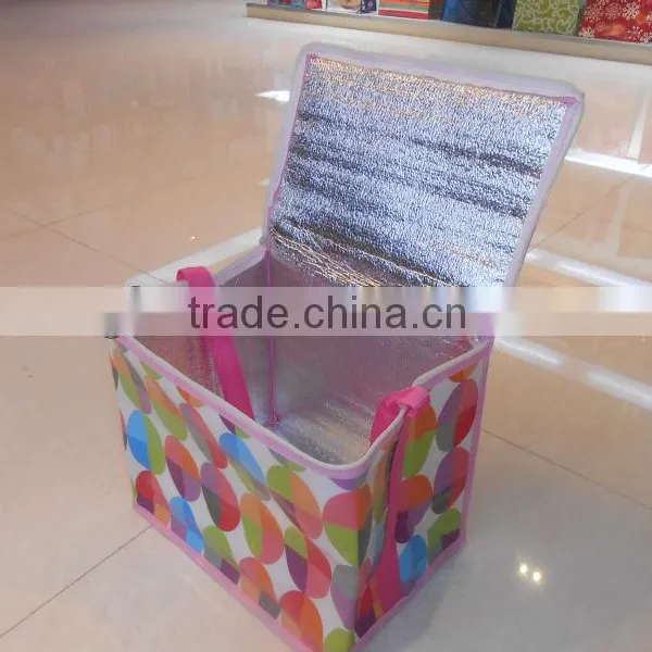 PP Non Woven Recreational Wine Cooler Plastic Bag photo-4
