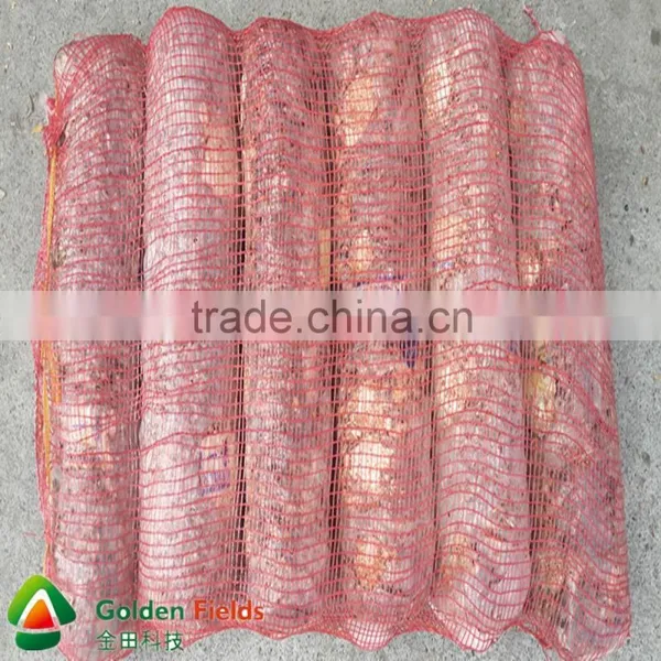 Decent Price Newest Wholesale Chaga Mushroom photo-4