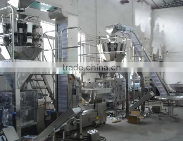 Grain Belt Conveyor photo-2