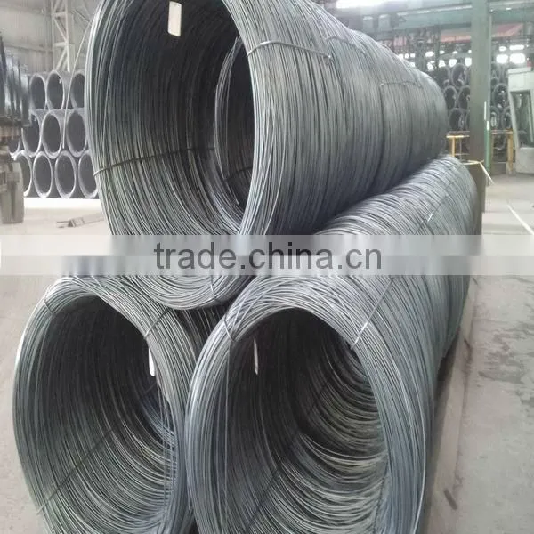Hot Rolled Wire Rod Coil for Steel Cord photo-6