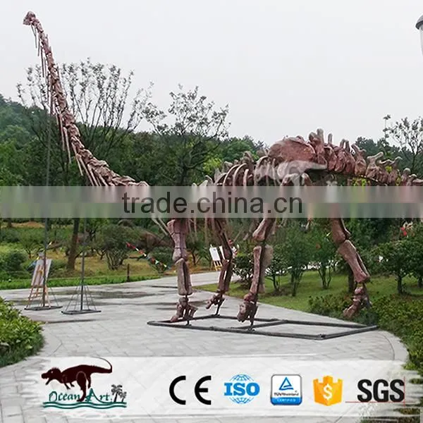 OA4082 High Quality Fossils Dinosaur photo-5