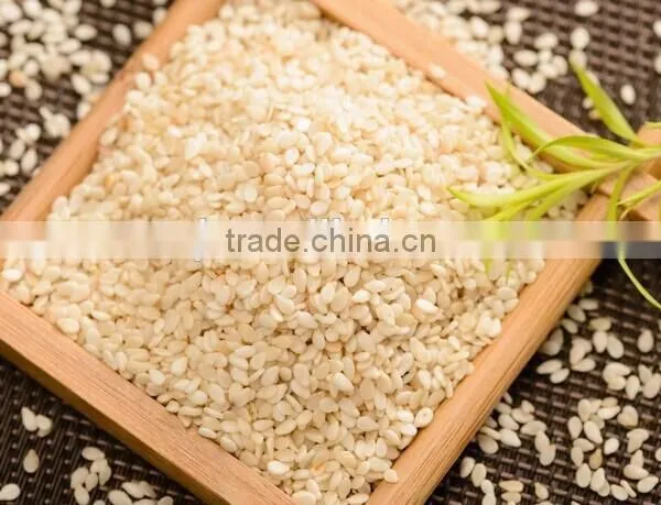 Grade A Roasted White Sesame Seeds photo-2