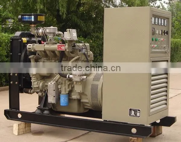 37.5kva Biogas Generator Set