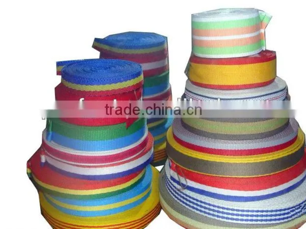 Super High Quality PP Webbing for Bags&pet Products photo-4