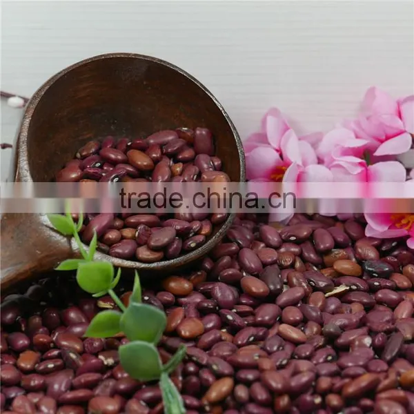 Small Red Kidney Bean 2016 Crop Good Price High Quality photo-4