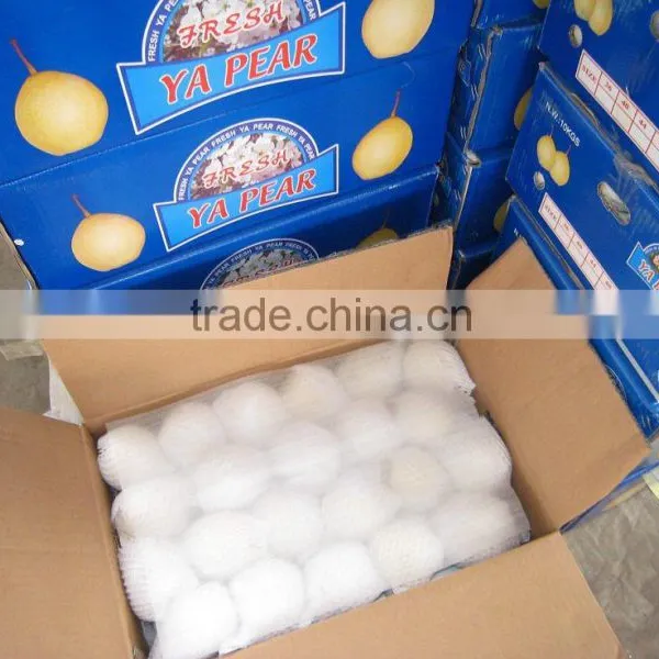 Fresh ya Pear Asia Pear With Cheap Price photo-4