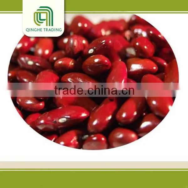Import Export Business Opportunity Red Kidney Beans Import
