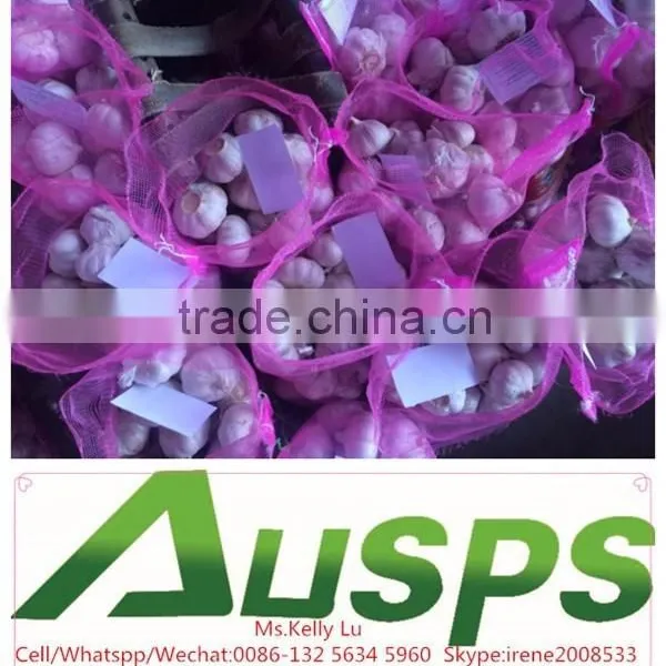 Fresh Chinese 3p Pure White Garlic photo-5