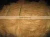 Coconut Coir Fiber