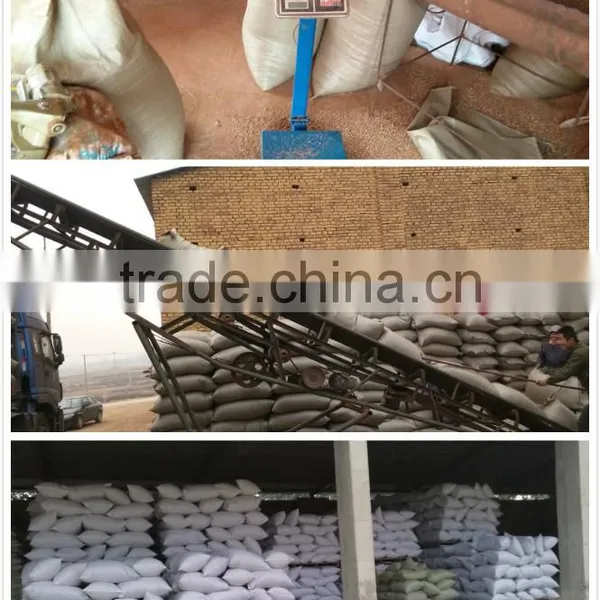 Factory Price Exfoliated Silver Vermiculite for Agriculture/Horticulture/Soil Conditioner photo-6