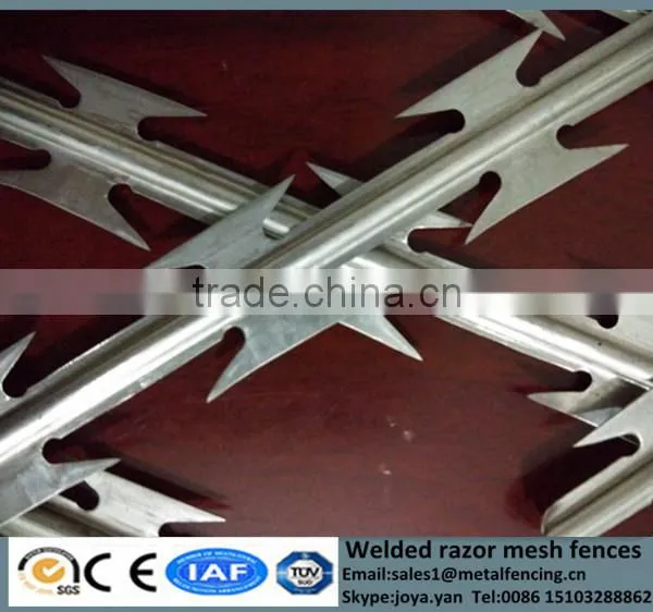 Farm Used Sharp BTO Type Concertina Mesh Fences High Security Metal Edge Barriers Welded Razor Wire Fencing photo-3
