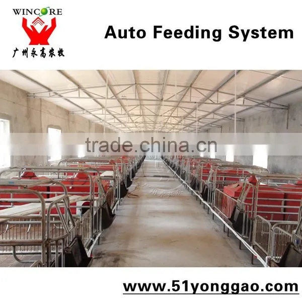 Pig Farm Automatic Feeding System Pig Poultry Feed Delivery Line photo-2
