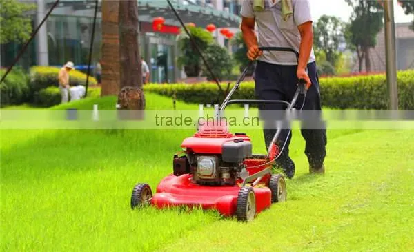 VLAIS Gasoline Garden Tool Lawn Mover for Lower Price photo-2