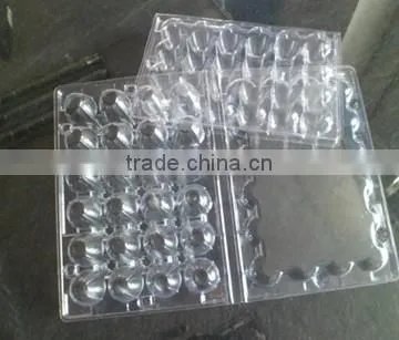Tray for Quail Egg Package