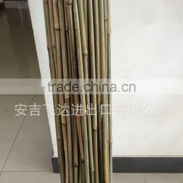 FD-20151231 Decorative Bamboo Pole/ Large Bamboo Fishing Poles photo-3