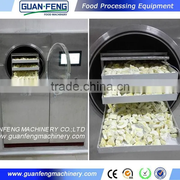 Vacuum Freeze Drying Machine and China Wholesale Custom Strawberry Refrigerated Air Dryer photo-2