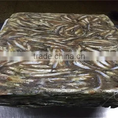 Frozen Whole Round Anchovy for Sale photo-4