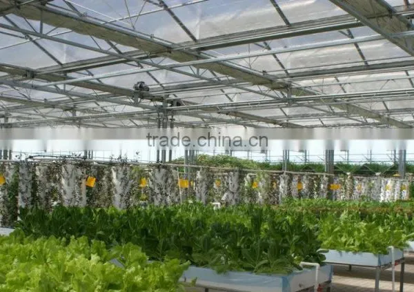 Large Multi-span Glass Green House Agriculture for Farming