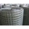 Welded Wire Mesh