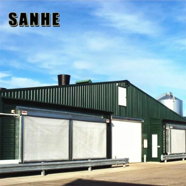 Steel Structure Farm Building Chicken House Broiler Layer Poultry House photo-3