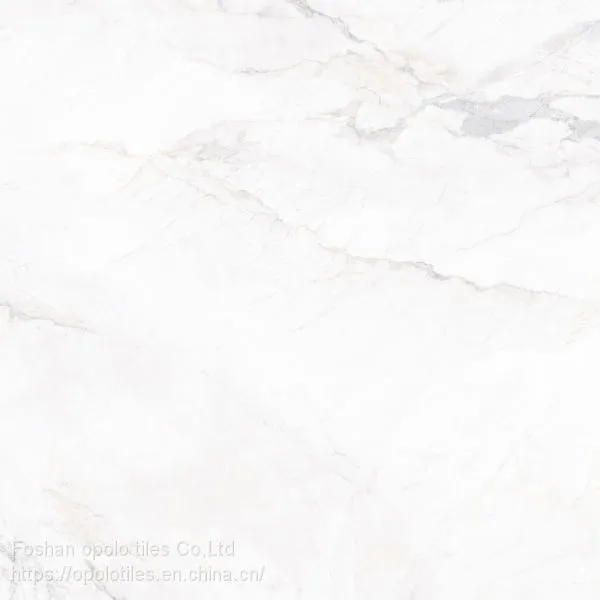 Fullbody Tiles / Glazed Tiles 800X800