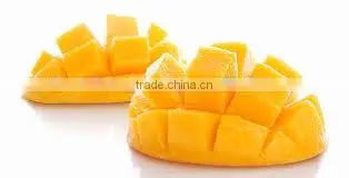 Best Price Yellow Sweet Sliced Mango photo-3