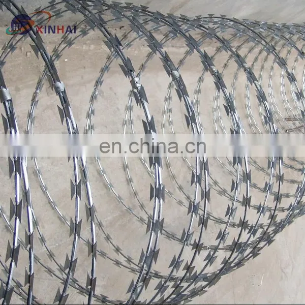 Barbed Wire photo-4