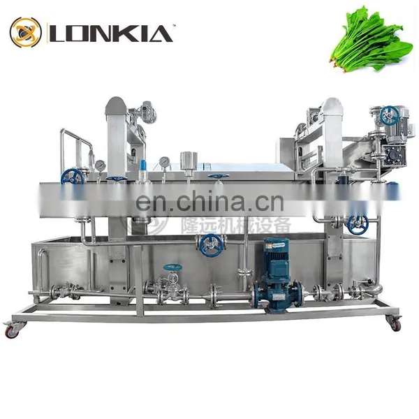 Automatic Vegetable Blanching Machine Fruit Processing Fruit Vegetable Blanching Machine photo-4