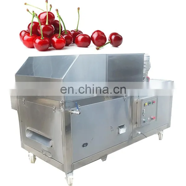 China Cheapest Price Best Quality Cherry Apple Peach Plum Olive Apricot Seed Core Pitter Remover On Warehouse photo-2