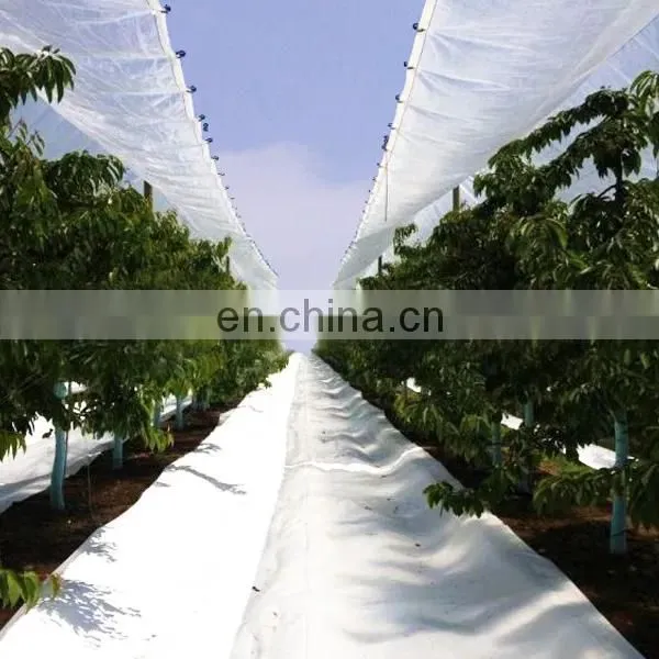 Anti UV Transparent PE Tarpaulin for Cherry Tree Protection Cover