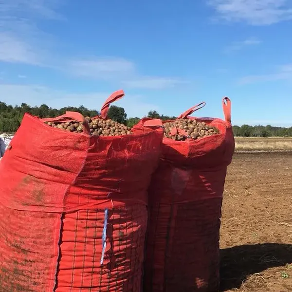 Clay Nuts Sand Soil U-panel Conductive 1 Ton Bag Bolsas Grandes PE Liner 500kg 1000kg 700kg PP Woven Sacks Jumbo Bag photo-3
