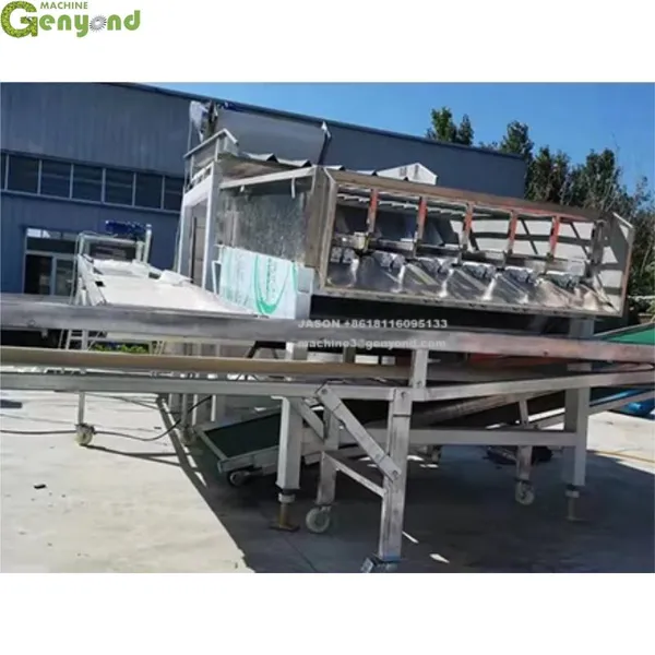 Automatic Sweet Corn Skin Removing Machine Green Corn Husker 10000pcs per Hour photo-5