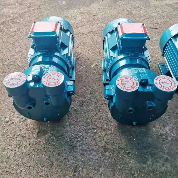 Luoji Pump Industry Supplies Parameter Selection of sk Series 2bv5161 Water Ring Vacuum Pumps photo-2