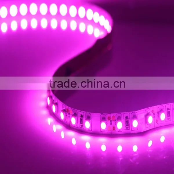 Waterproof Smd3528 Led Flexible Strip 120leds/m photo-5