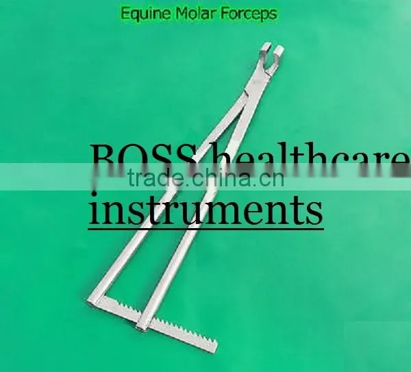Equine Molar Forceps With Ratchet Veterinary Instruments