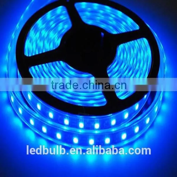 5050 LED Strip Bule Waterproof 5050 Smd Led Strip photo-5