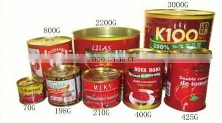 Double Concentrate Canned Tomato Paste Factory Size 70g~3000g. photo-6