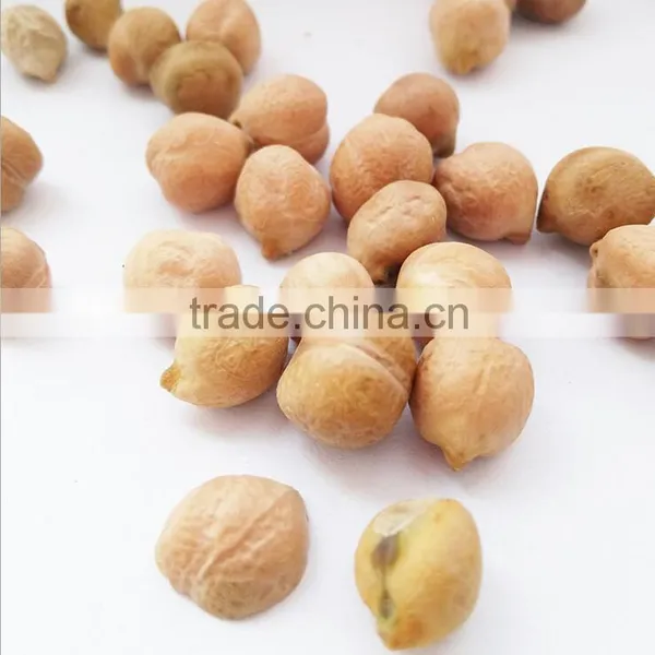 More Than 8 mm Fresh Chickpeas Xinjiang Chickpea Pois Chiche photo-3