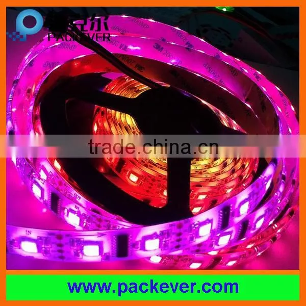 Epistar Chip 2 Year Warranty IP65 Black/white PCB 60 Led/m Lpd8806 Led Strip photo-4