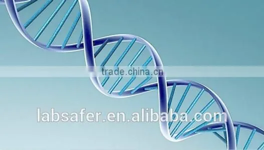 9703 Series Gradient PCR Instrument,PCR Machine, PCR Thermal Cycler in China photo-4