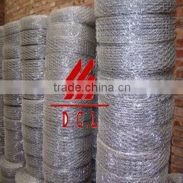 chicken wire netting /poultry wire netting